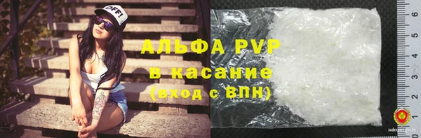 молекула духа Новозыбков