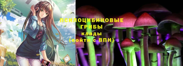 шишки Новодвинск