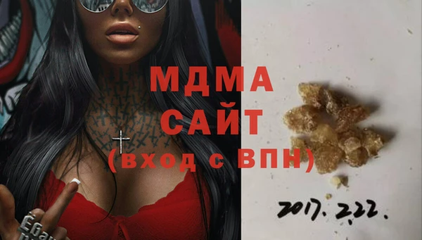 шишки Новодвинск
