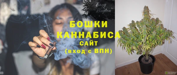 мяу мяу мука Няндома
