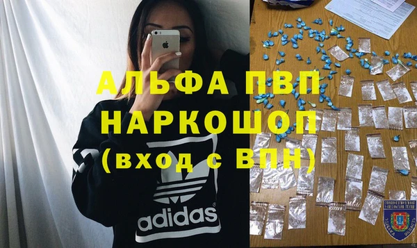 шишки Новодвинск