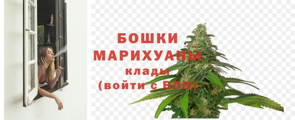шишки Новодвинск