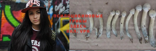 2c-b Новокубанск