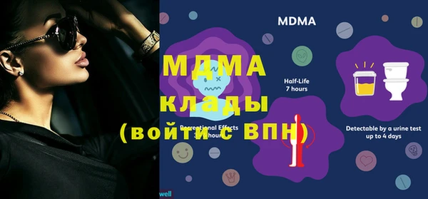 шишки Новодвинск