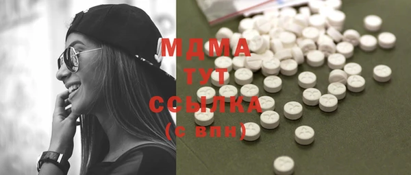 молекула духа Новозыбков