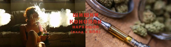 шишки Новодвинск