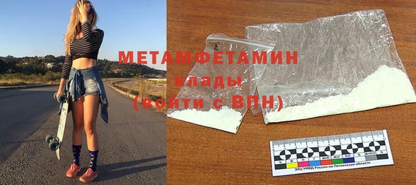 шишки Новодвинск