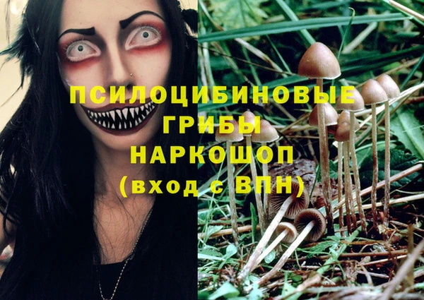 шишки Новодвинск