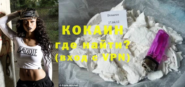 шишки Новодвинск