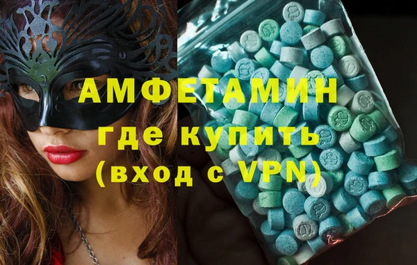 шишки Новодвинск