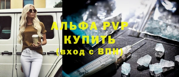 шишки Новодвинск