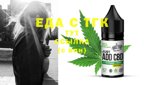 шишки Новодвинск